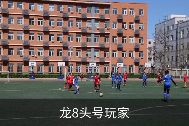 关于龙8头号玩家
